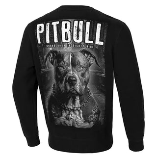 Pit Bull West Coast Crewneck Street King Black