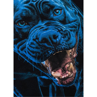 Pit Bull West Coast Hooded In Blue Black