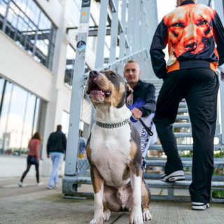 100% Hardcore Hoodie Loyalty