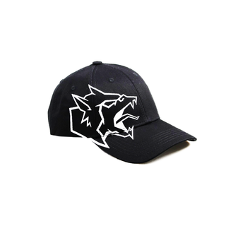 Gorra de béisbol Neophyte